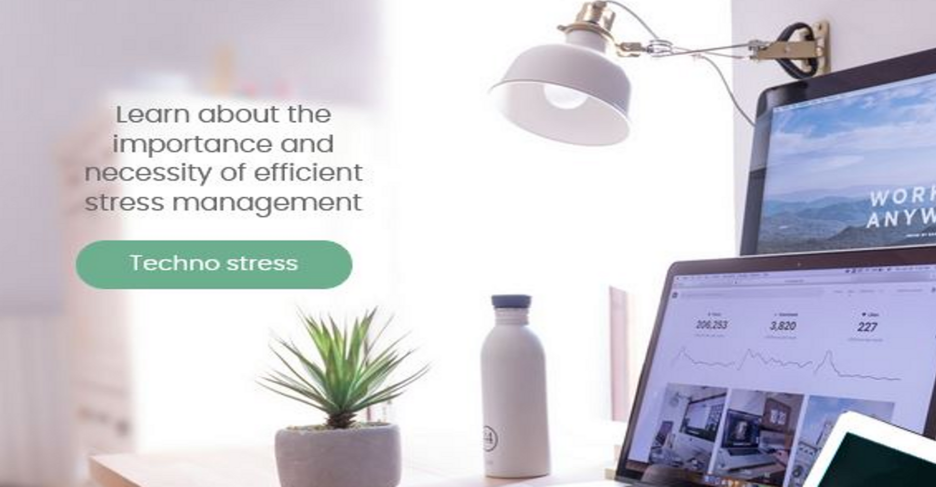 Efficient Stress Management With Special Regard to the Competent Handling of Techno-Stress