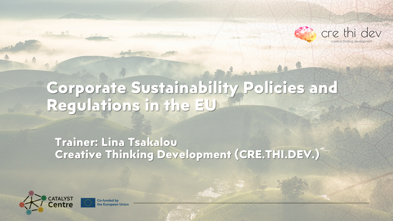 Corporate Sustainability Policies and Regulations in the EU