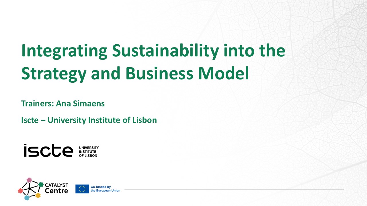 Integrating Sustainability into the Strategy and Business Model